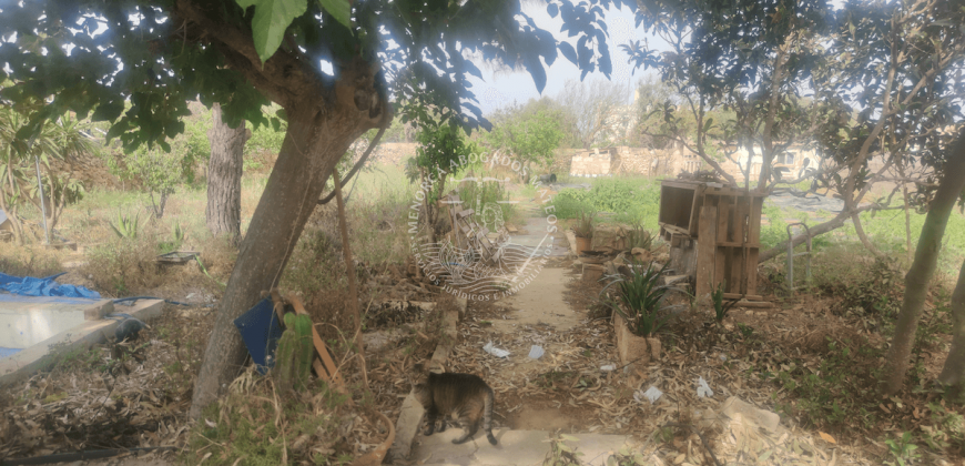 Country House in Ciutadella