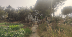 Country House in Ciutadella
