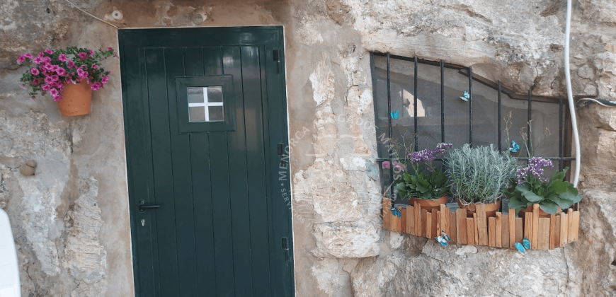 Detached House in Santandria