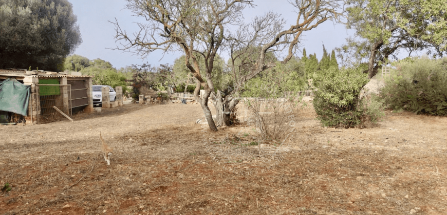 ¡Tu casa de campo en Ciutadella, segura y con posibilidad de ampliar!