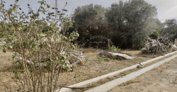 ¡Tu casa de campo en Ciutadella, segura y con posibilidad de ampliar!
