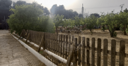 ¡Tu casa de campo en Ciutadella, segura y con posibilidad de ampliar!