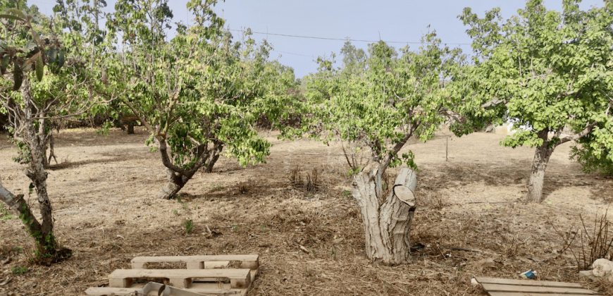 ¡Tu casa de campo en Ciutadella, segura y con posibilidad de ampliar!
